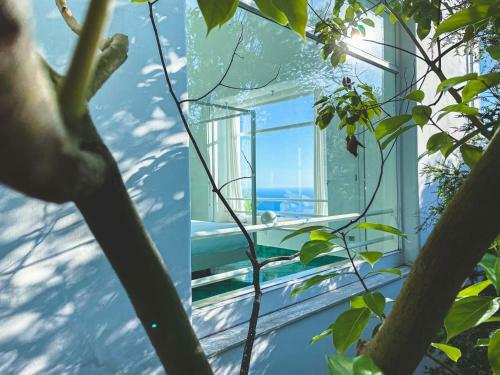 Agroturismo Il Carrubo Capri