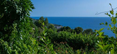 Agroturismo Il Carrubo Capri