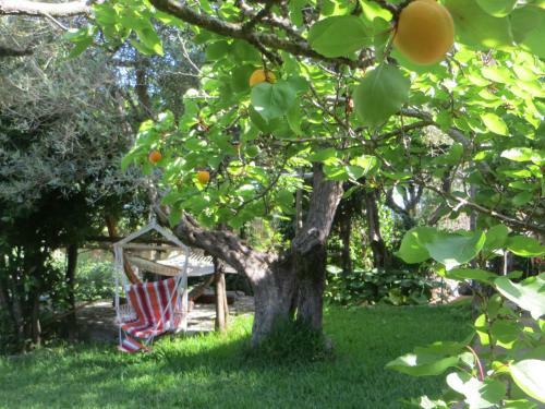 Villa La Casa Piccola