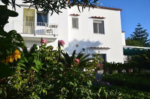 Villa Damecuta B&B