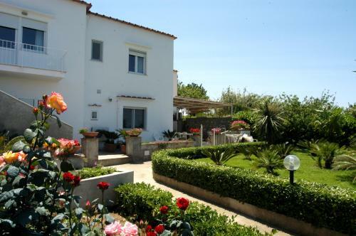 Villa Damecuta B&B
