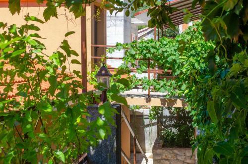 Apartments Ljiljana