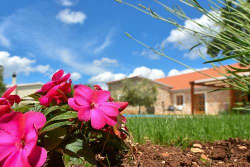 Villa Rural House Kod Slapa