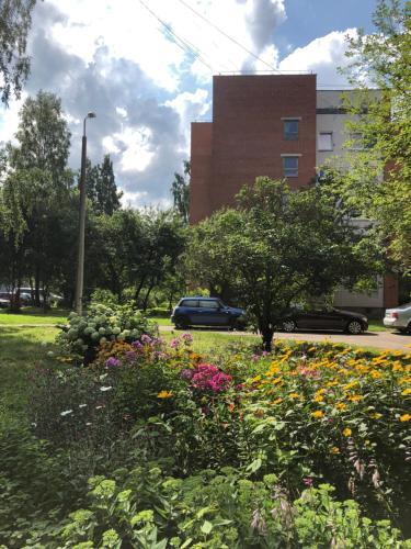 Sunshine Apartments