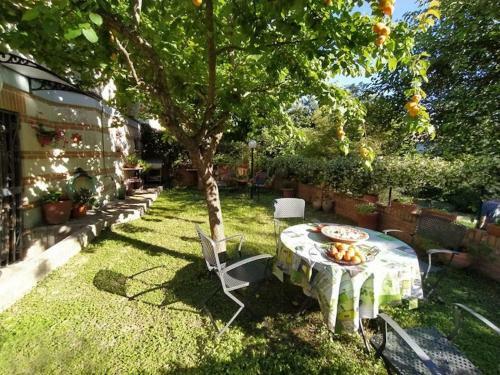 Hostal Fior Di Loto