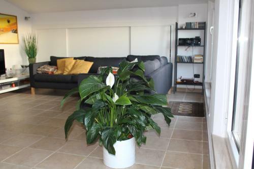 Apartamento La Finestra Sul Mare
