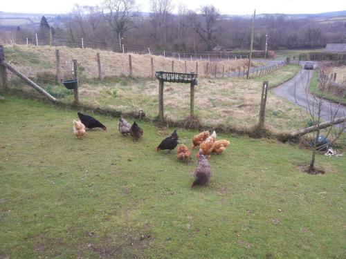 Bed & Breakfast Reallycoolaccomodation