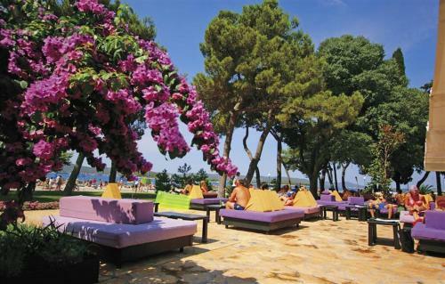 Mobile Home Vito, Camping Park Soline