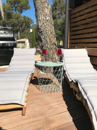 Modern Mobile Home Ani In Camping Park