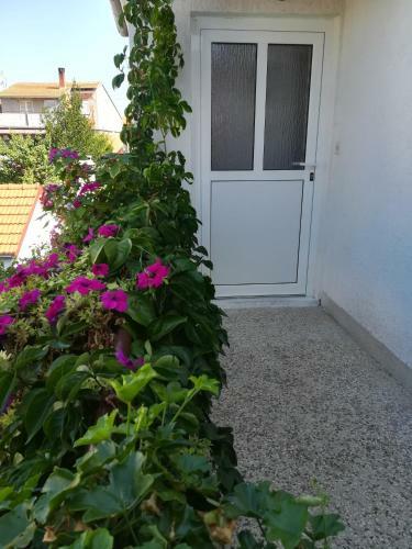 Apartman Leo