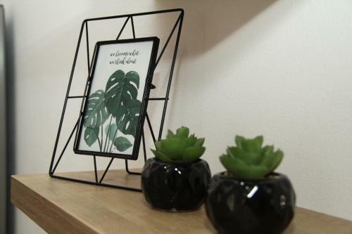 Apartman Antea