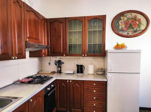 Apartman Centar ?are