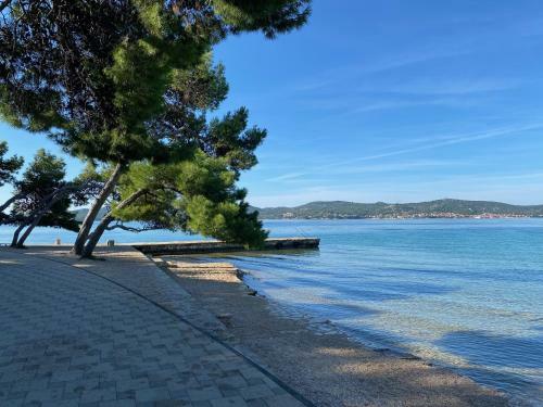 Oliva Mobile Home Camping Park Soline