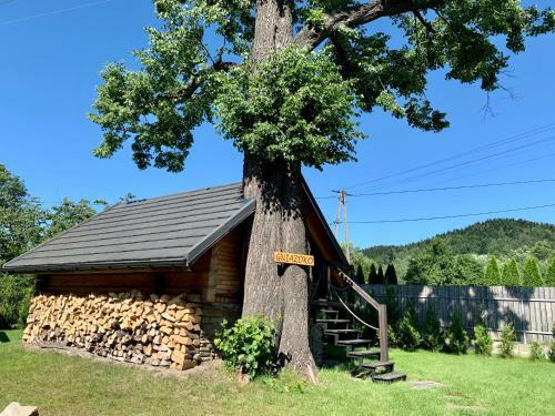 Apartamento Gniazdko Pod Lip?