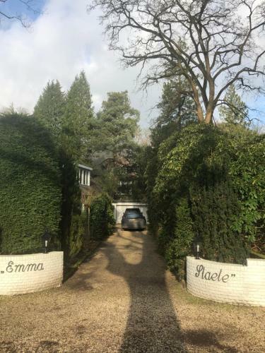 Modern Palace B&B Emma Staete