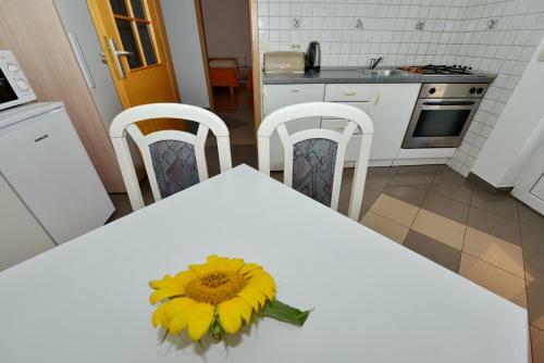 Apartments Blaza