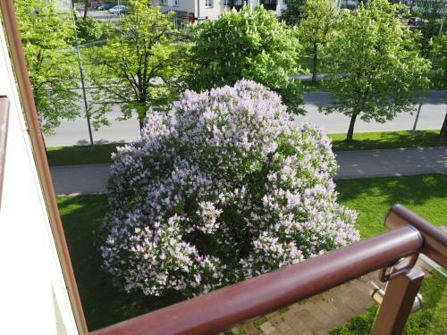 Apartamento Roman