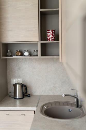 Apartment In Druskininkai City Centre