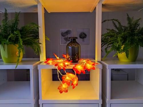 Apartamento Eleni Studio Druskininkai