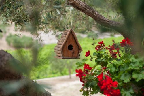 Apartamentos Villa Franka