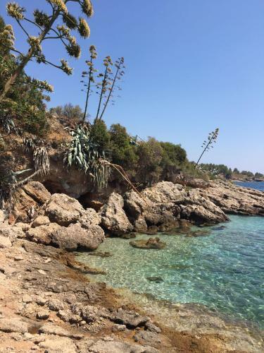 Center Apartment Golden Ray