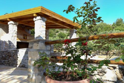 Hostal Robinson Beach House Jogo
