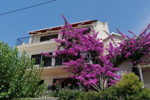 Apartamento Summer Dreams In Bol