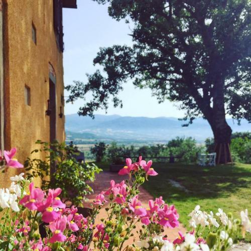 Apartamento Vigna Del Poggio