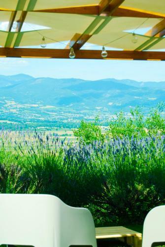 Apartamento Vigna Del Poggio