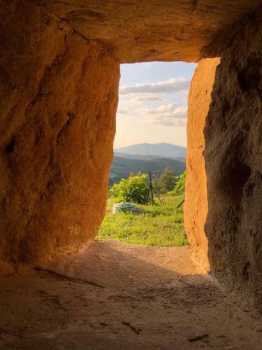 Casa Mancino