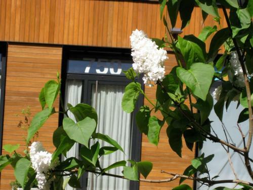 Apartamento Studio-apartment In City-center