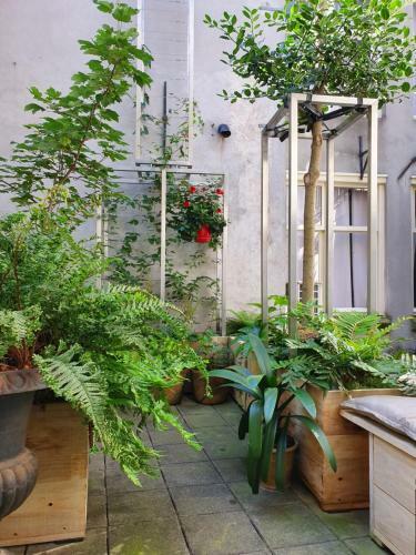 Apartamento Huis Roomolen