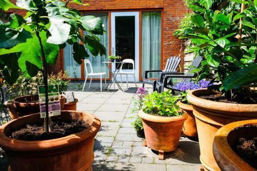 Comfortable Dog Friendly Private B&B Room