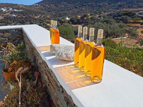 Cycladic Vineyard House