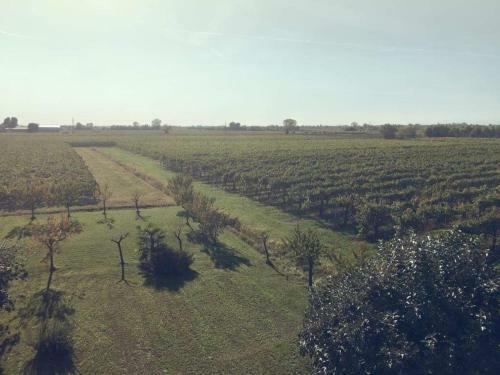 Bed & Breakfast Villa Sofia