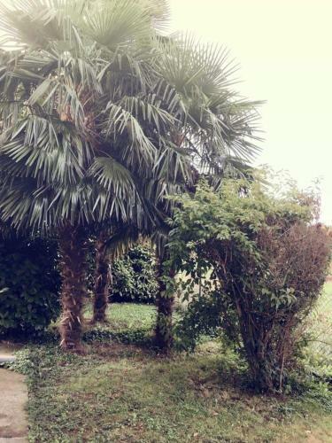 Bed & Breakfast Villa Sofia