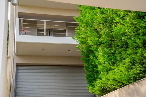 Panorama Apartment