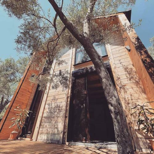 Apartamento Olea Cottage