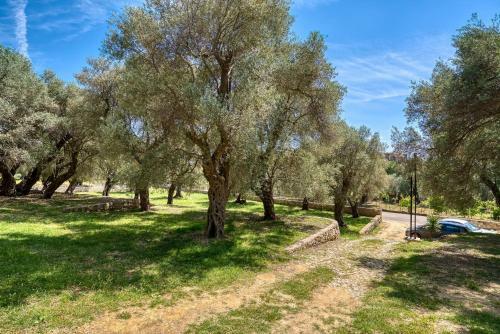 Apartamento Stonehouse In Olives