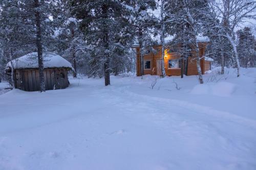 Hirsi - The White Blue Wilderness Lodge