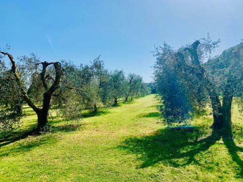 Apartamento Il Borghetto Di Ansedonia