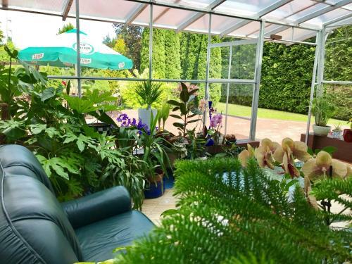 Bed & Breakfast Vita August�w