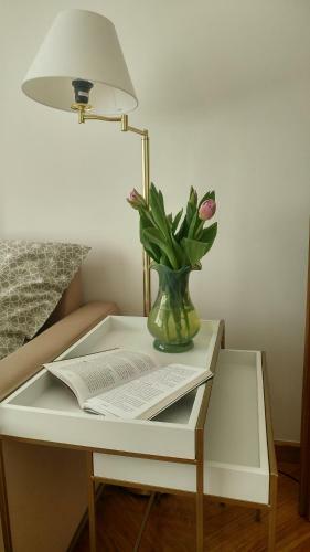 Apartament Centrum