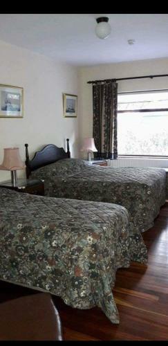 Bed & Breakfast Barnavave Guest House