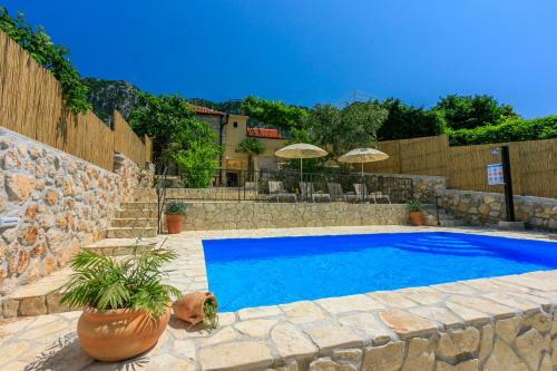 Villa Cocoon