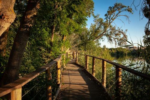 Hotel Salamanca Forum Resort Do�a Br�gida