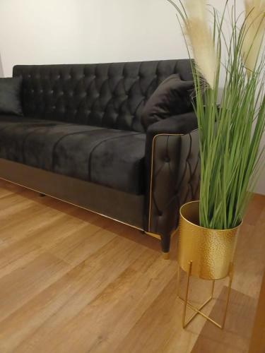 Apartamento Dominic Residence