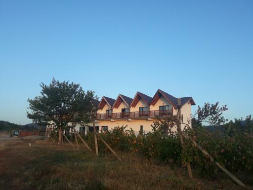 Hostal Pensiunea Casa Negrea