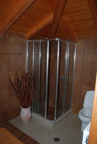 Villa Dream Arachova