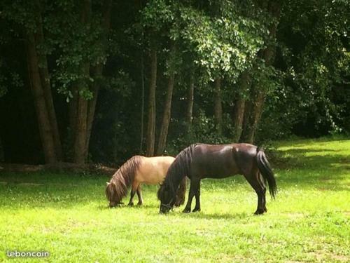 Bed & Breakfast Domaine Du Moulin Neuf